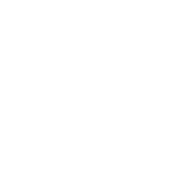 saltybee